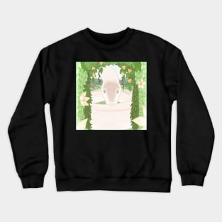 Curious Snake Crewneck Sweatshirt